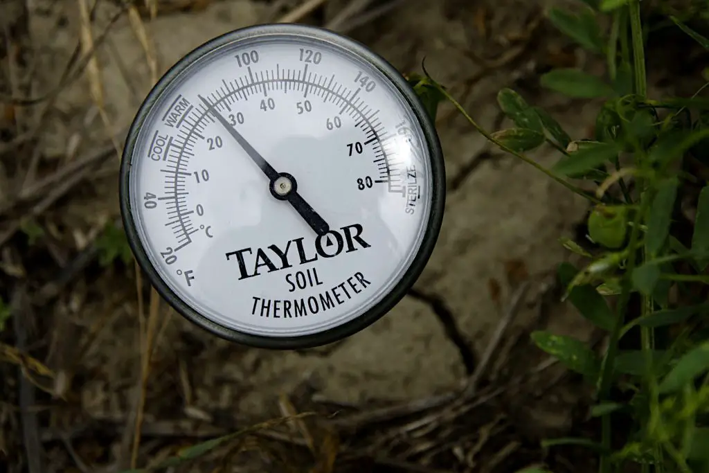 monitoring for optimal soil thermometer for growth