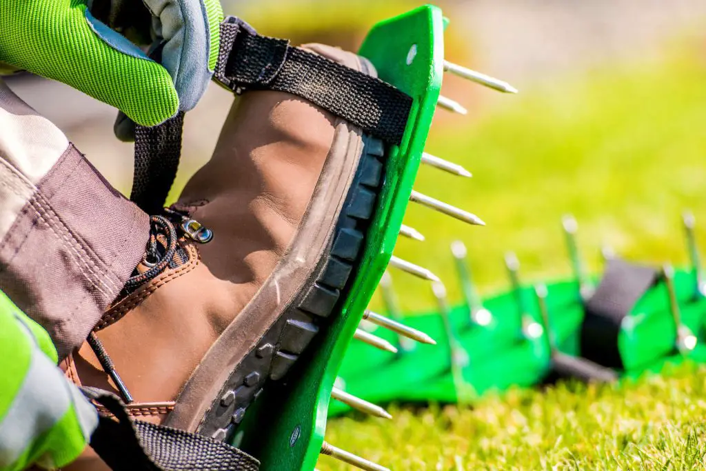 Aerate Your Lawn - Early Fall Is One of the Best Times to Do This