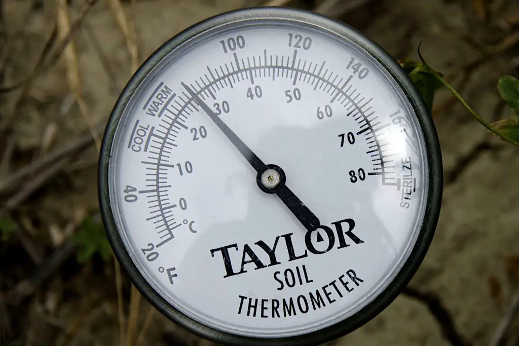 soil temperature