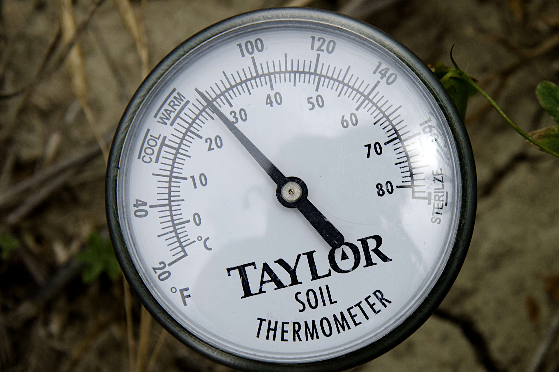 Grass Seed Germination Temperature How Soil Temperature is Key