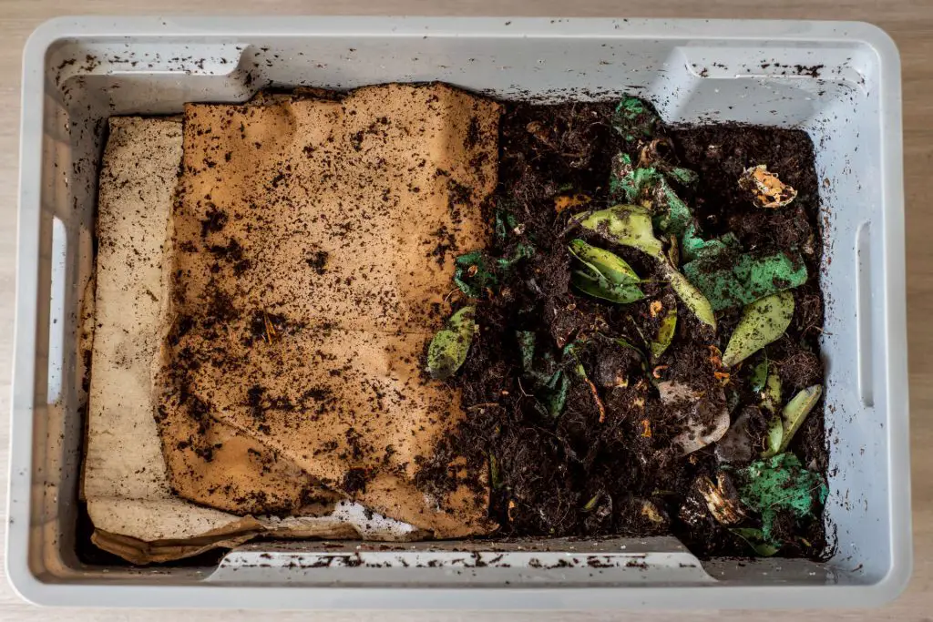 vermicomposting- can bread be composted