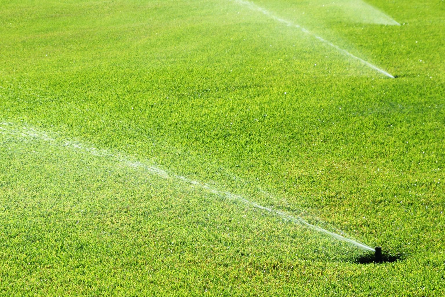 Should a little rain stop you from fertilizing your lawn? Can You Apply