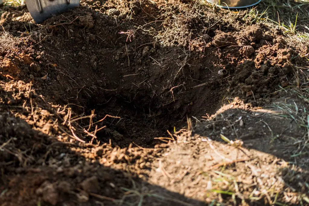 Using Holes Rather than Trenches - Trench Composting In Winter