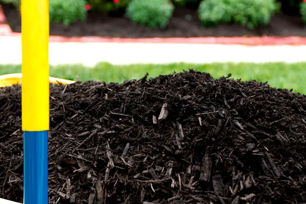 Adding Mulch to Boarders and Garden Beds - November Gardening Tasks