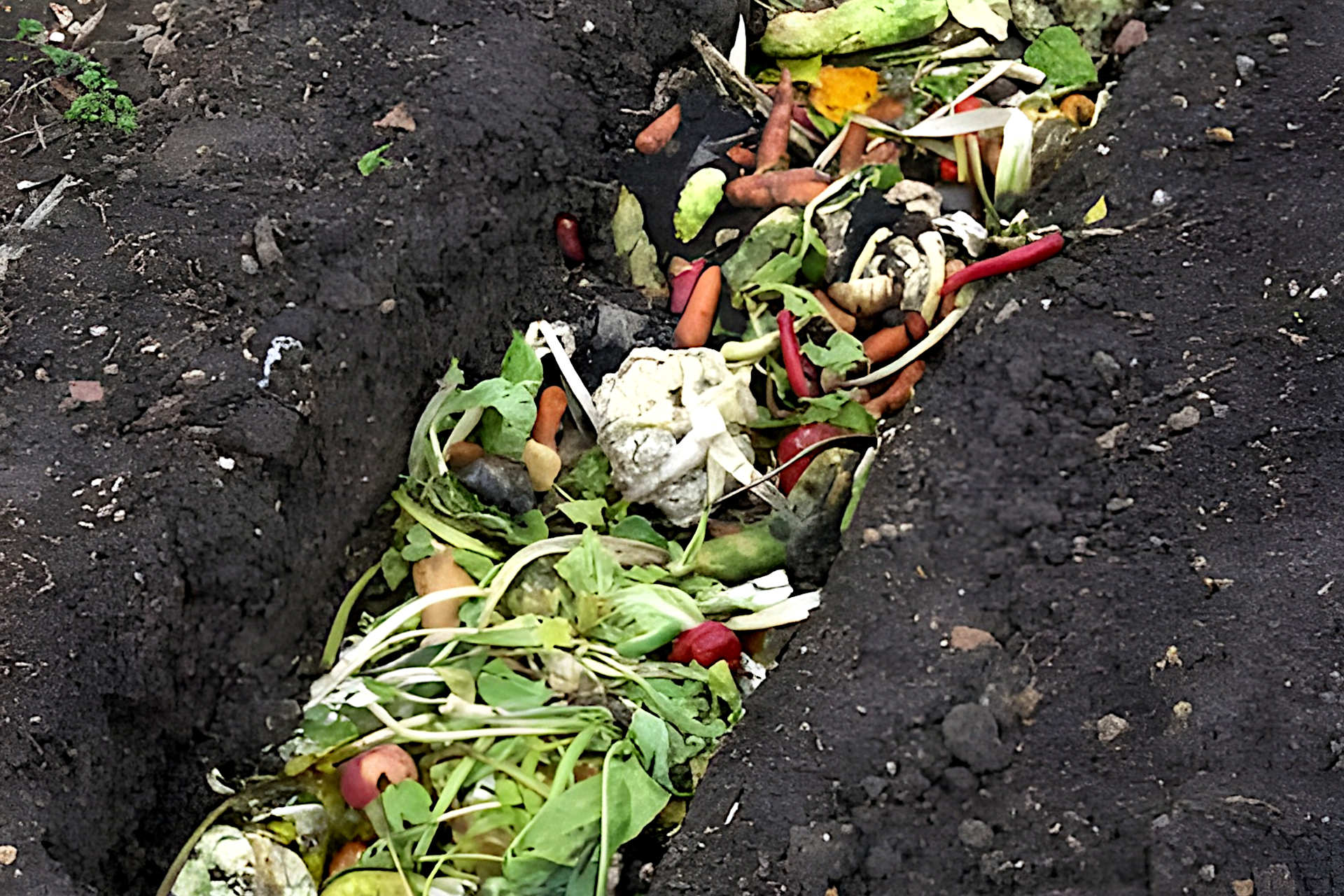 Trench Composting In Winter