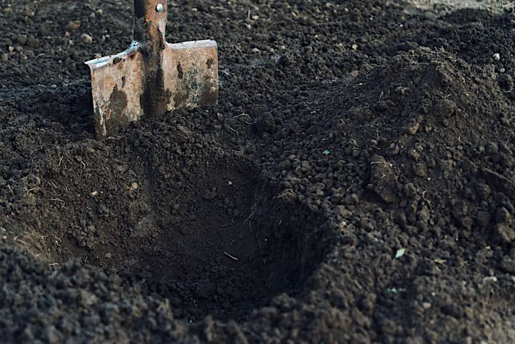 Trench composting - beating the cold