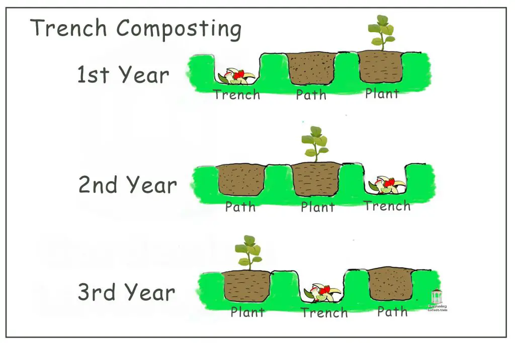 Planning Your Trenches - Trench Composting In Winter