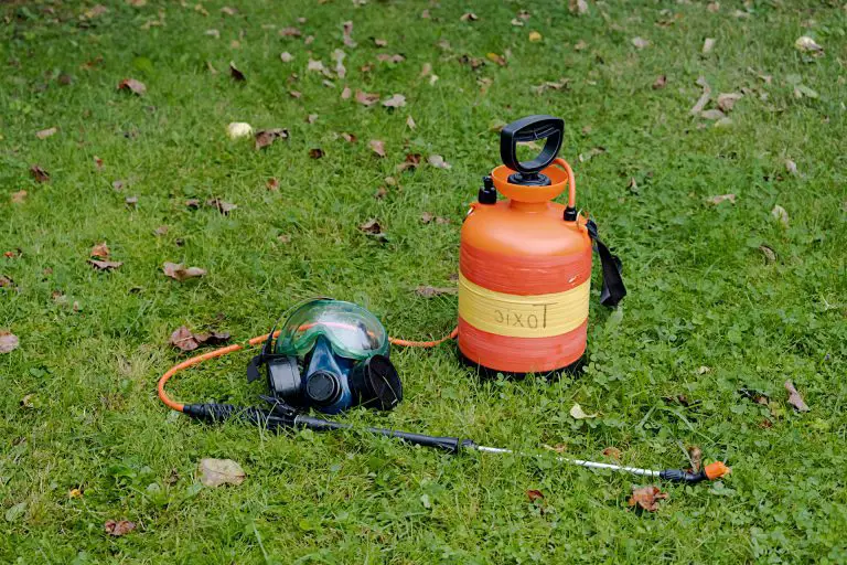 Eliminate Chinch Bugs in Your Lawn: The Ultimate Guide to How to Get Rid of Chinch Bugs