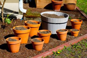 Refreshing Compost in Permanent Pots