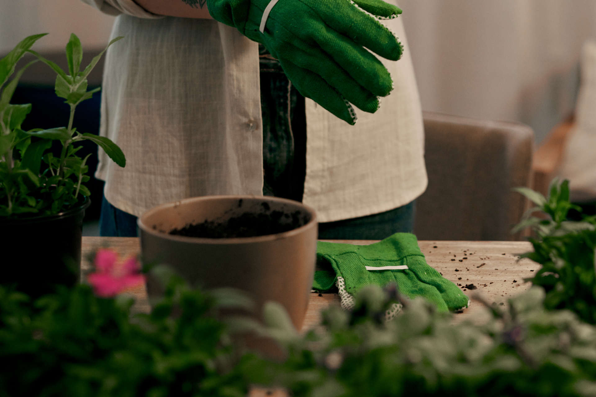 Refreshing Compost in Permanent Pots The Secret to Thriving Potted