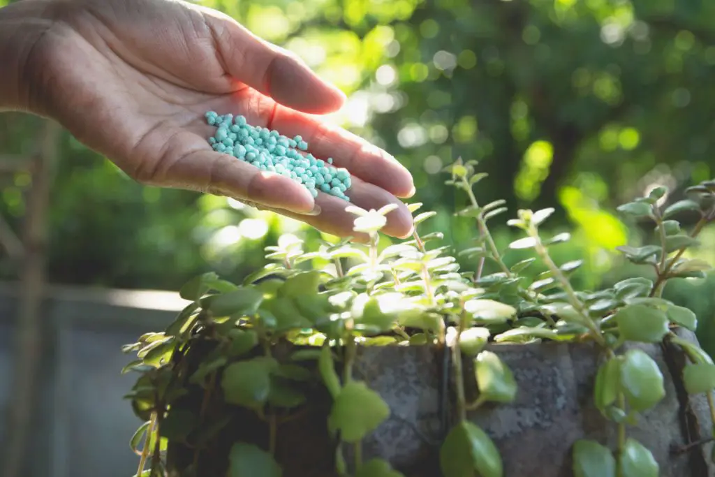 Tips for Effective Use of Granular Fertilizer