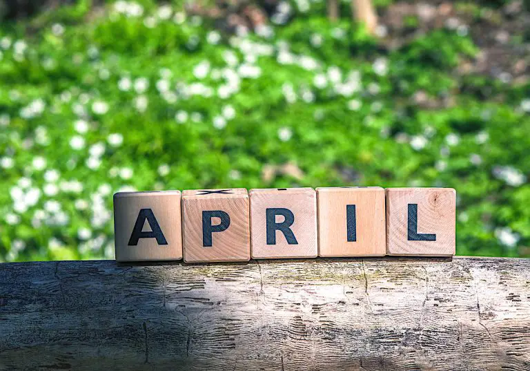 Spring is Upon Us: Gardening Tasks for April