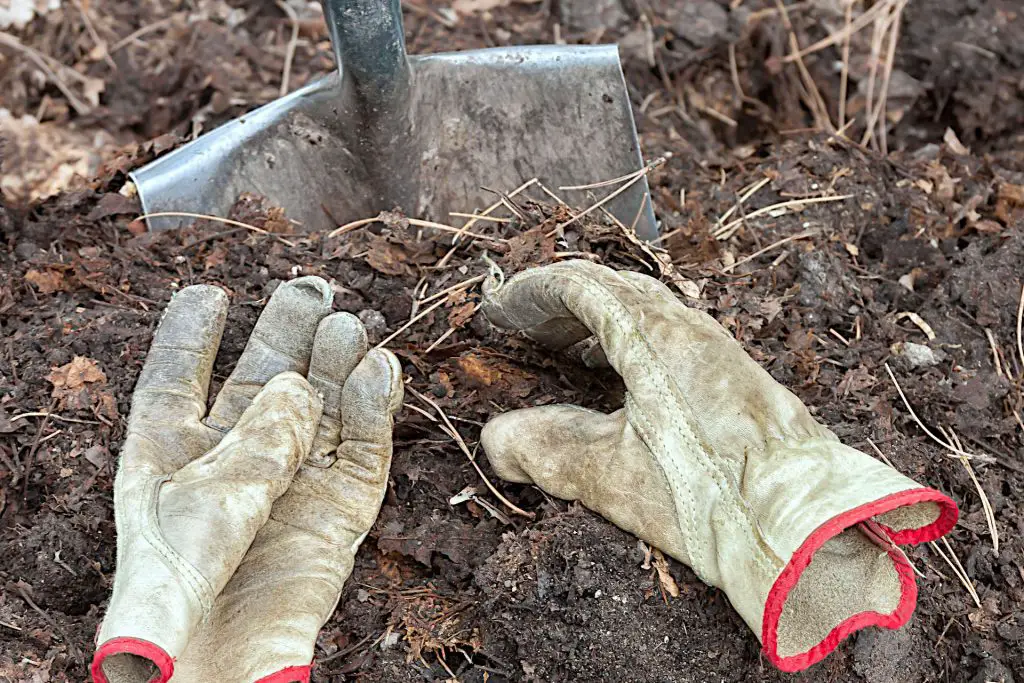 Prepare your garden soil for planting