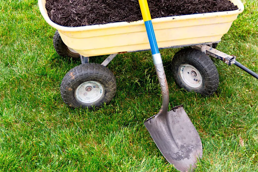 Top Dressing Lawn with Compost