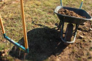 Top Dressing Lawn with Compost - Top Dress Your Lawn the Right Way