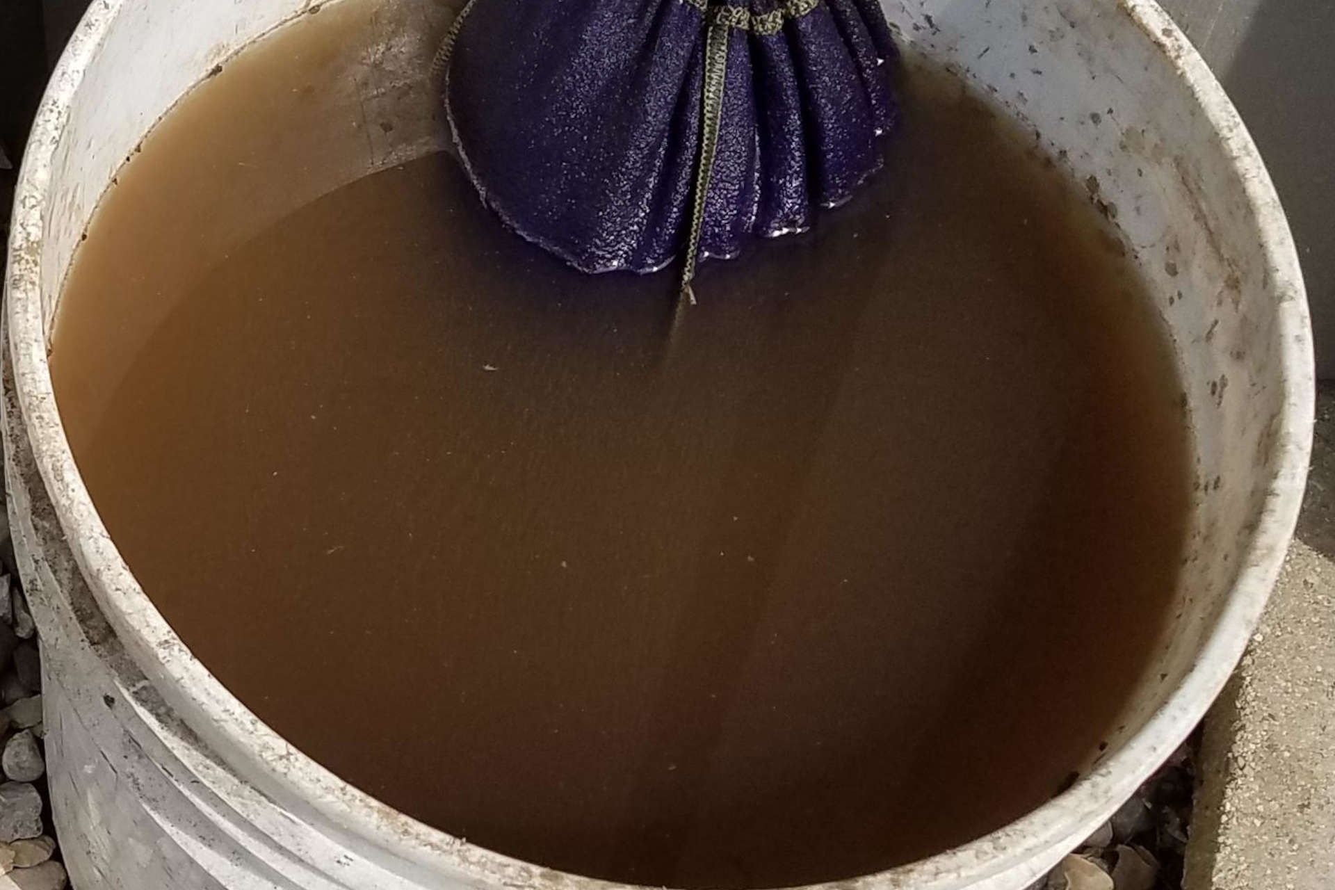 Top Dressing Lawn with Compost How to Top Dress Your Lawn the Right