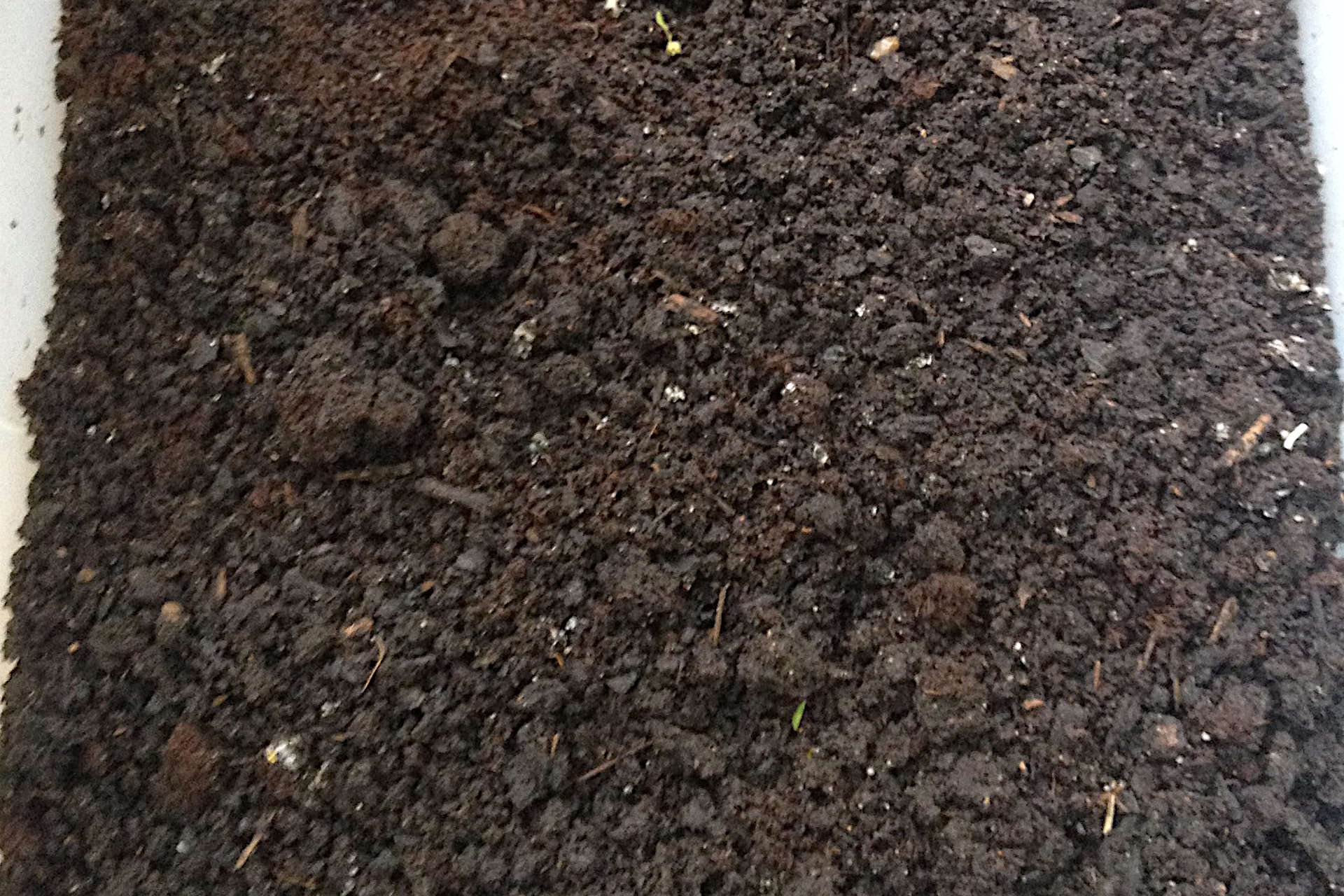 Top Dressing Lawn with Compost How to Top Dress Your Lawn the Right