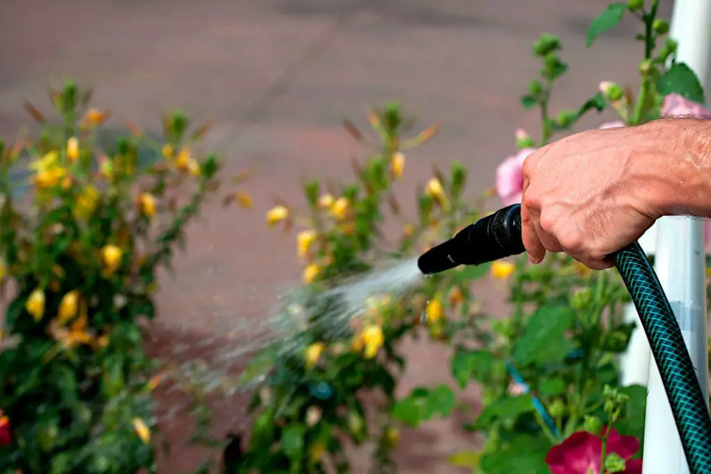 july gardening tasks - Give priority to your watering tasks