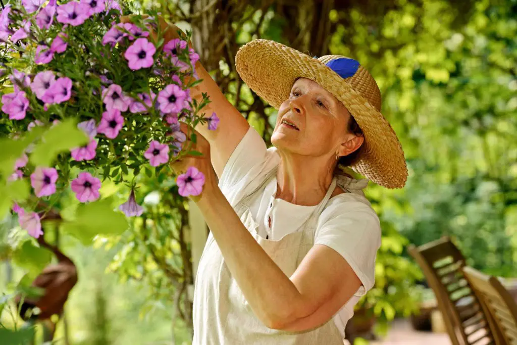 Caring for Pots and Hanging Baskets