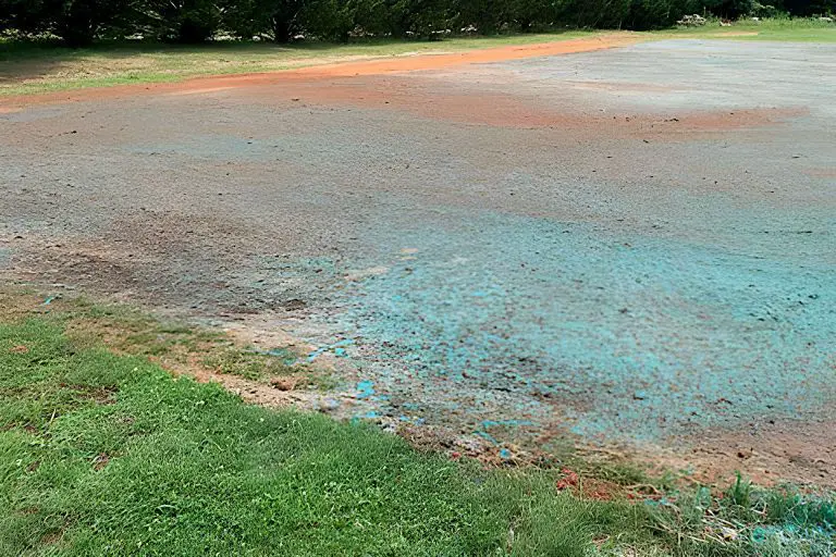 Sowing the Seeds of Change: Hydroseeding for Soil Stabilization and Erosion Control
