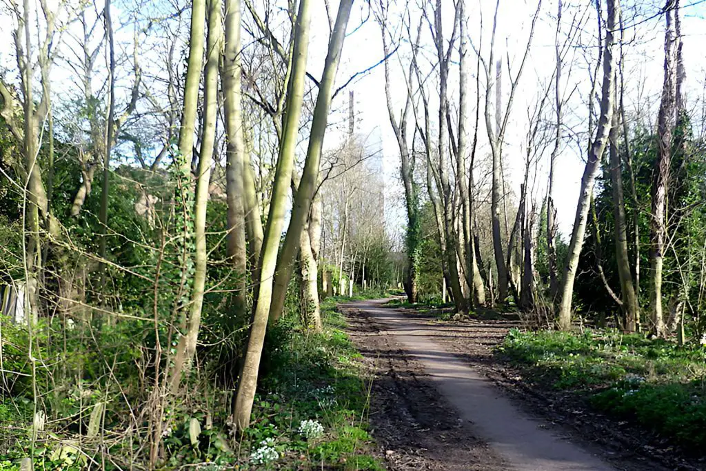 Tower Hamlets Cemetery 