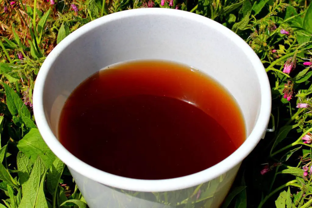 Benefits of earthworm casting tea for lawns
