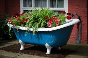 Bathtime for Blooms: Transforming an Old Enamel Bath into a Thriving Raised Bed