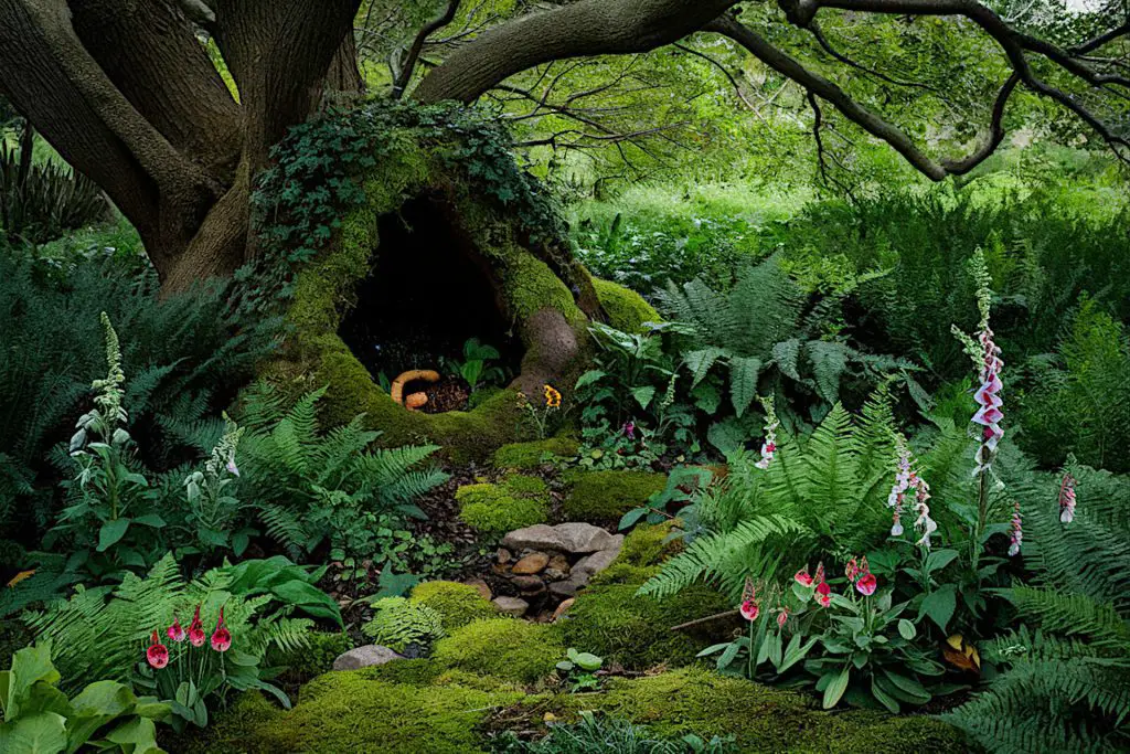 The Whimsical Woodland Nook: A Secret Fairyland
