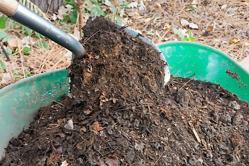 Science behind composting