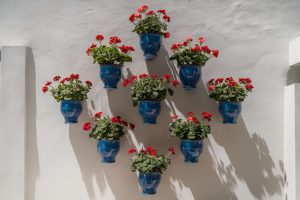 Choosing the Right Ceramic Pots for Your Plants: Indoor vs. Outdoor Styles