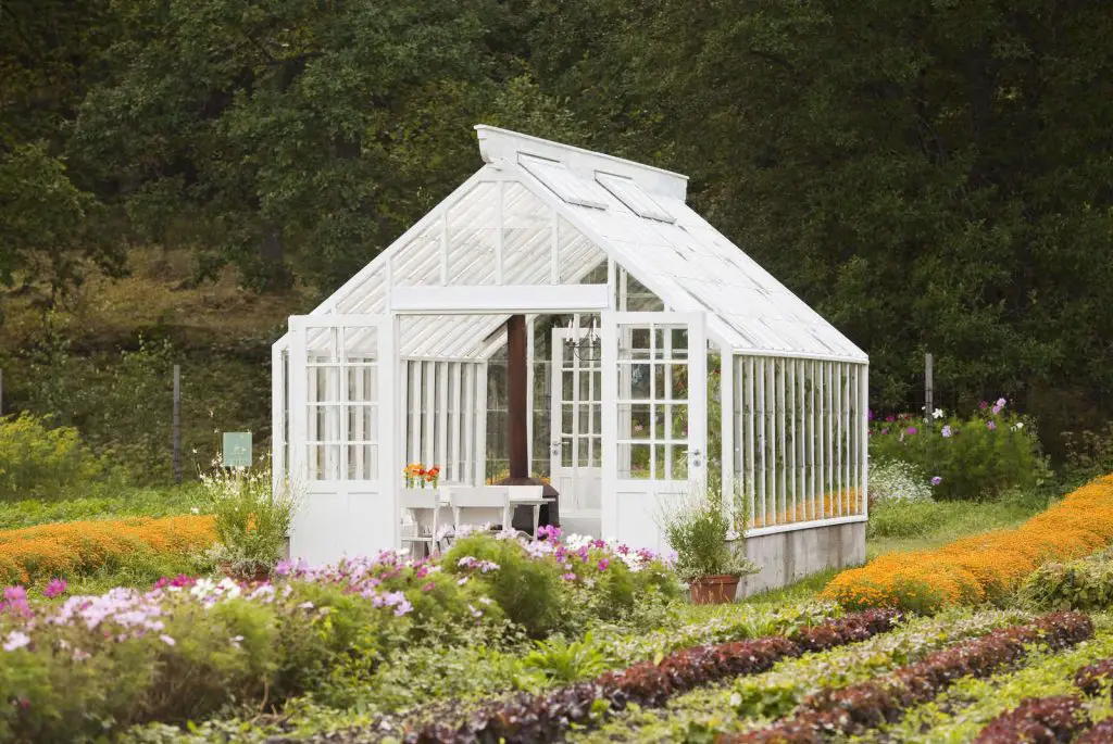 Your Greenhouse Gardening Adventure