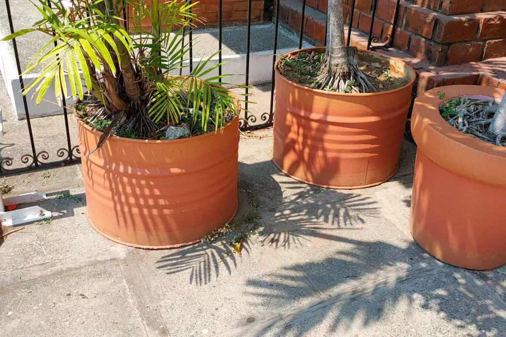 oil drum turned into a planter