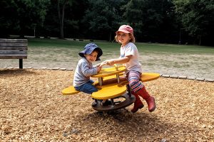 Teeter Totter vs Seesaw – Is There a Difference? - Gardening Latest