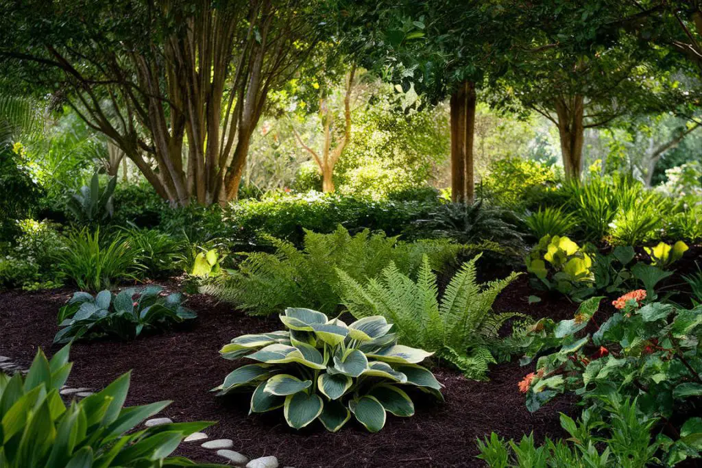 bed with shade tolerant perennials