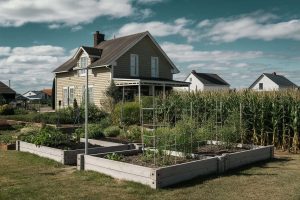 Homesteading in Small Areas