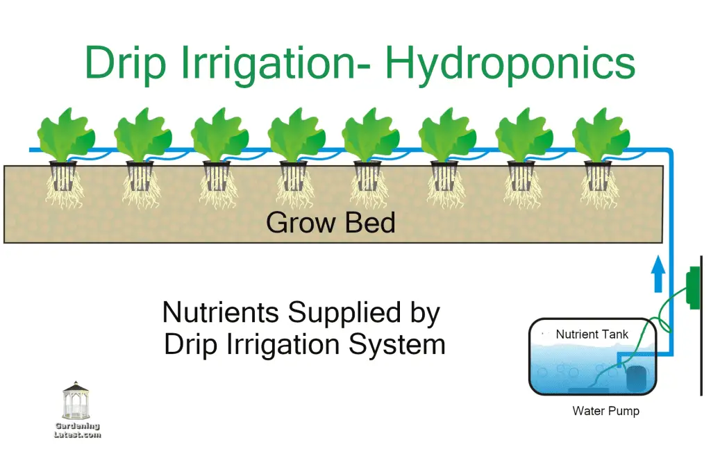 How Do Hydroponic Drip Systems Work