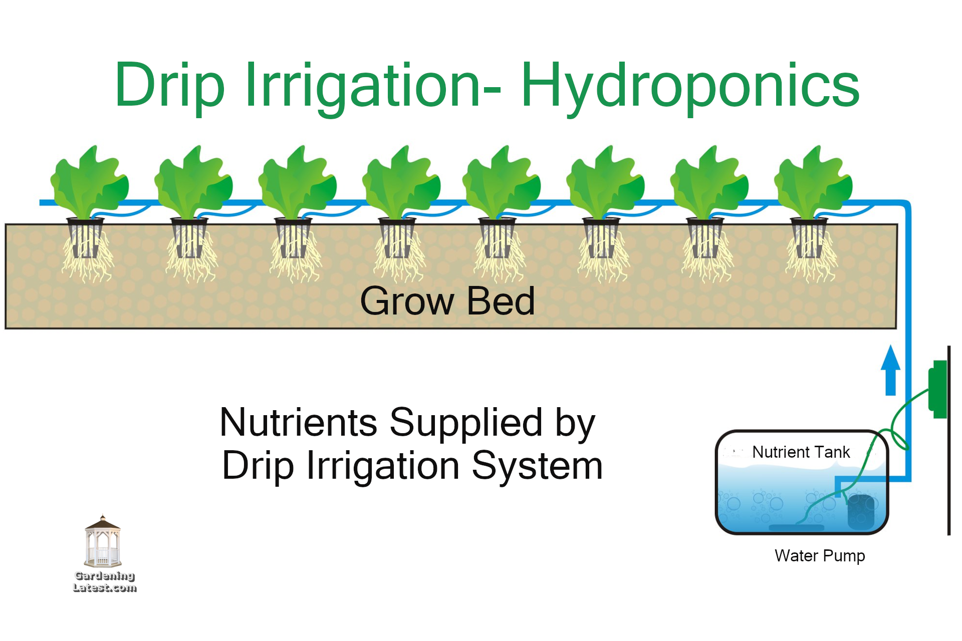 Drip System Hydroponics What It Is And How To Get Started Gardening Latest