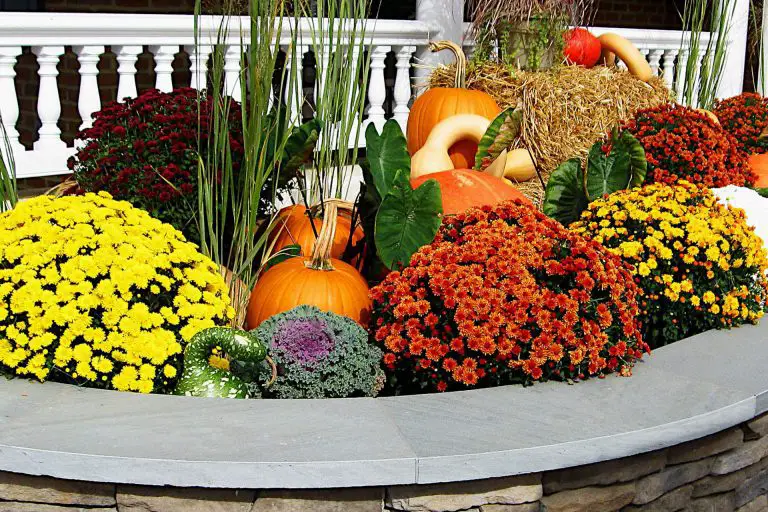 Fall Planting Guide: Tailoring Your Garden to Zones 6, 7, 8, and 9