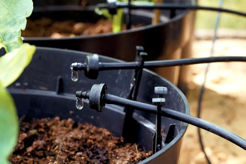 vertical garden drip watering system