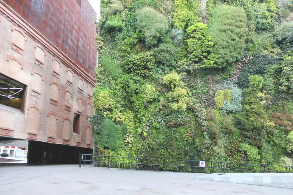 vertical garden at the CaixaForum Museum