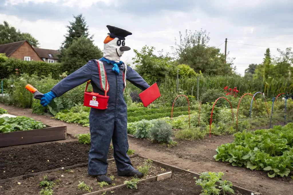 Inspiring Examples of scarecrow 