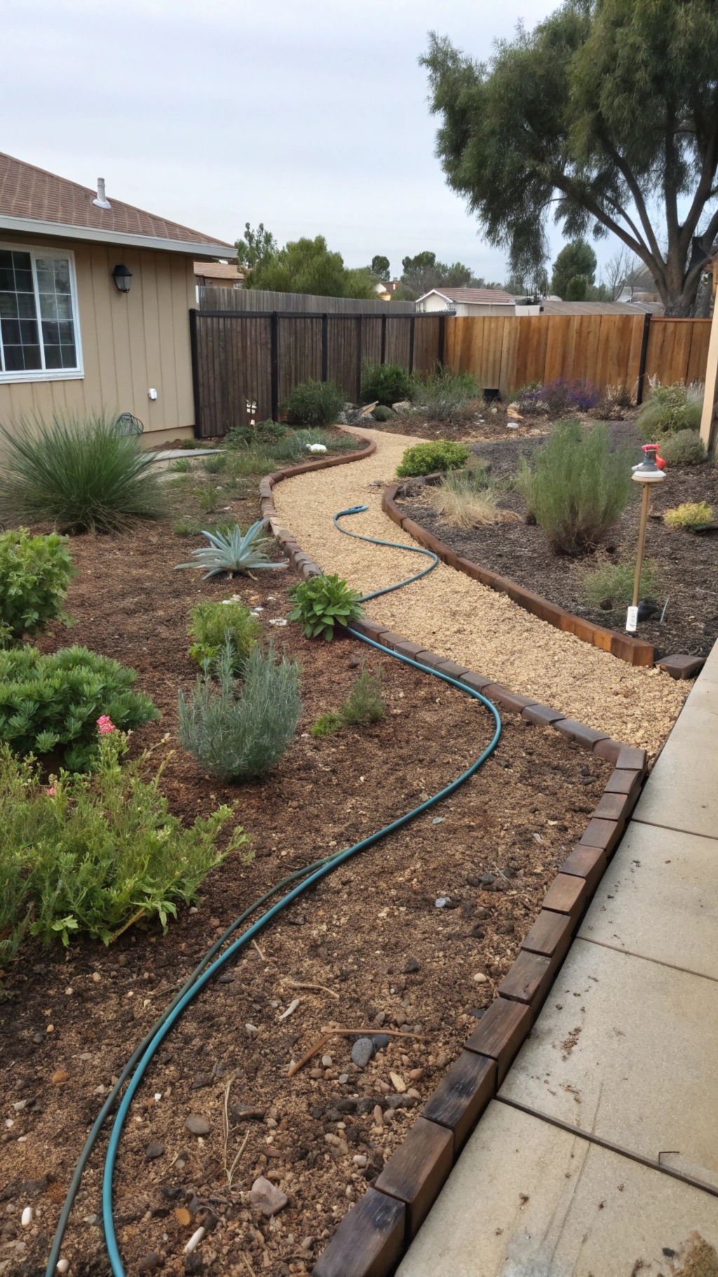 Spacing is critical in dry gardens to reduce competition for water and nutrients