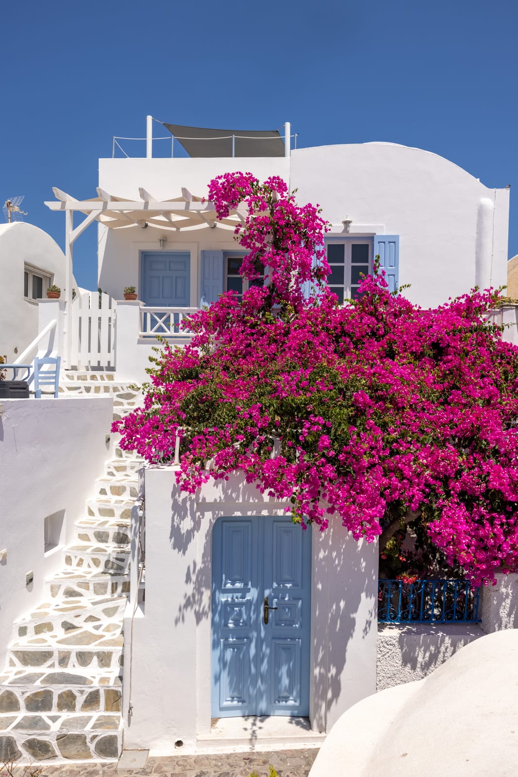 Bougainvillea house exterior enhancement