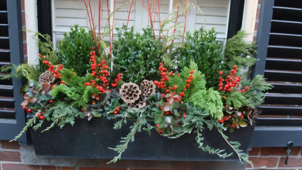Christmas window box