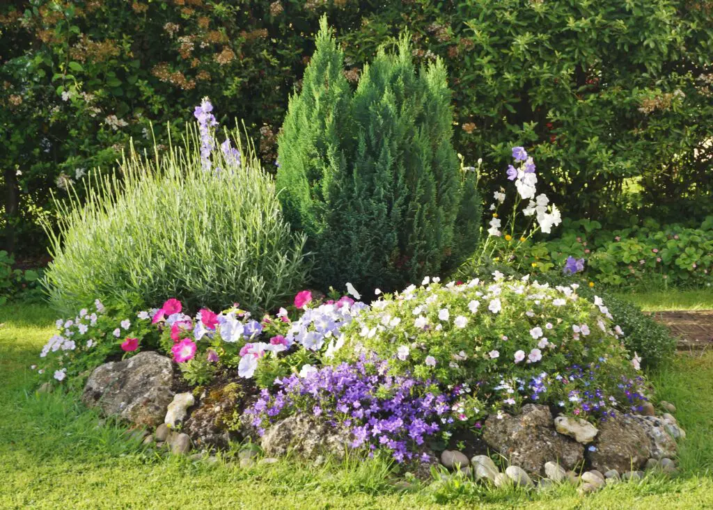 a well-maintained rock garden in early morning light