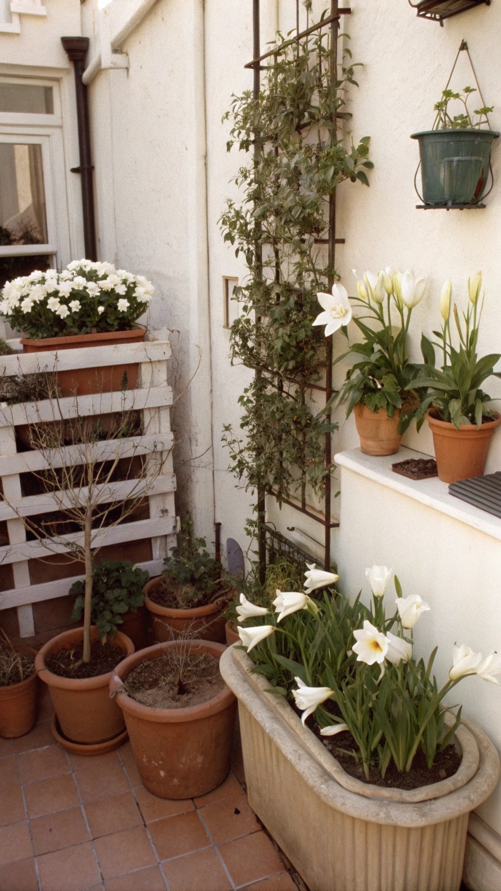 small patio space featuring white container garden