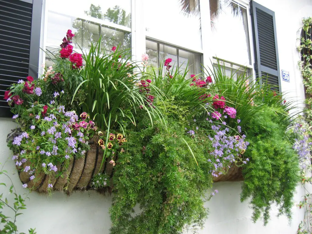 window box showcasing a rich tapestry of foliage
