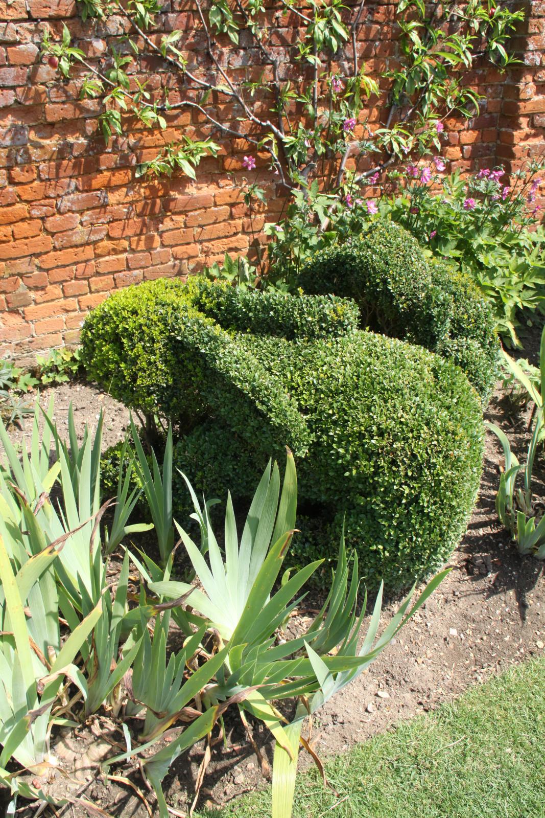 Topiary rabbit