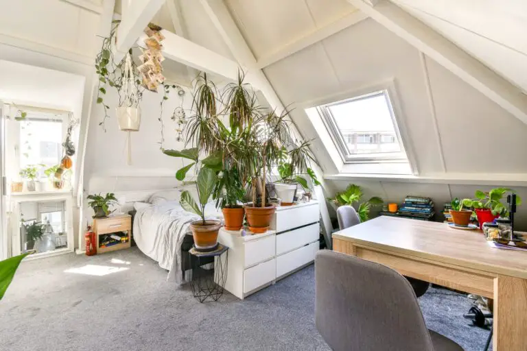 indoor plant decor