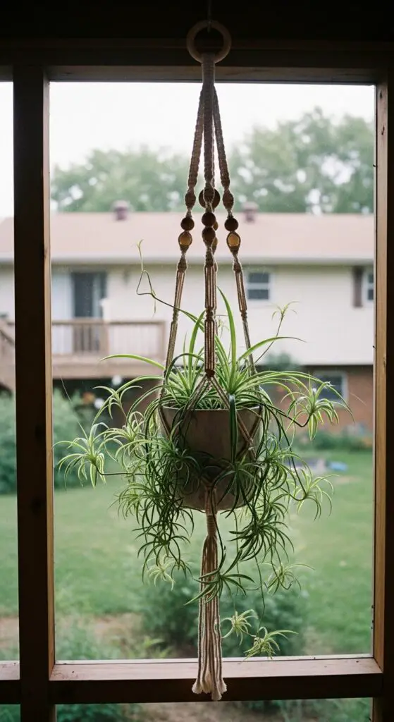 Handmade macramé plant hanger, with large wooden beads